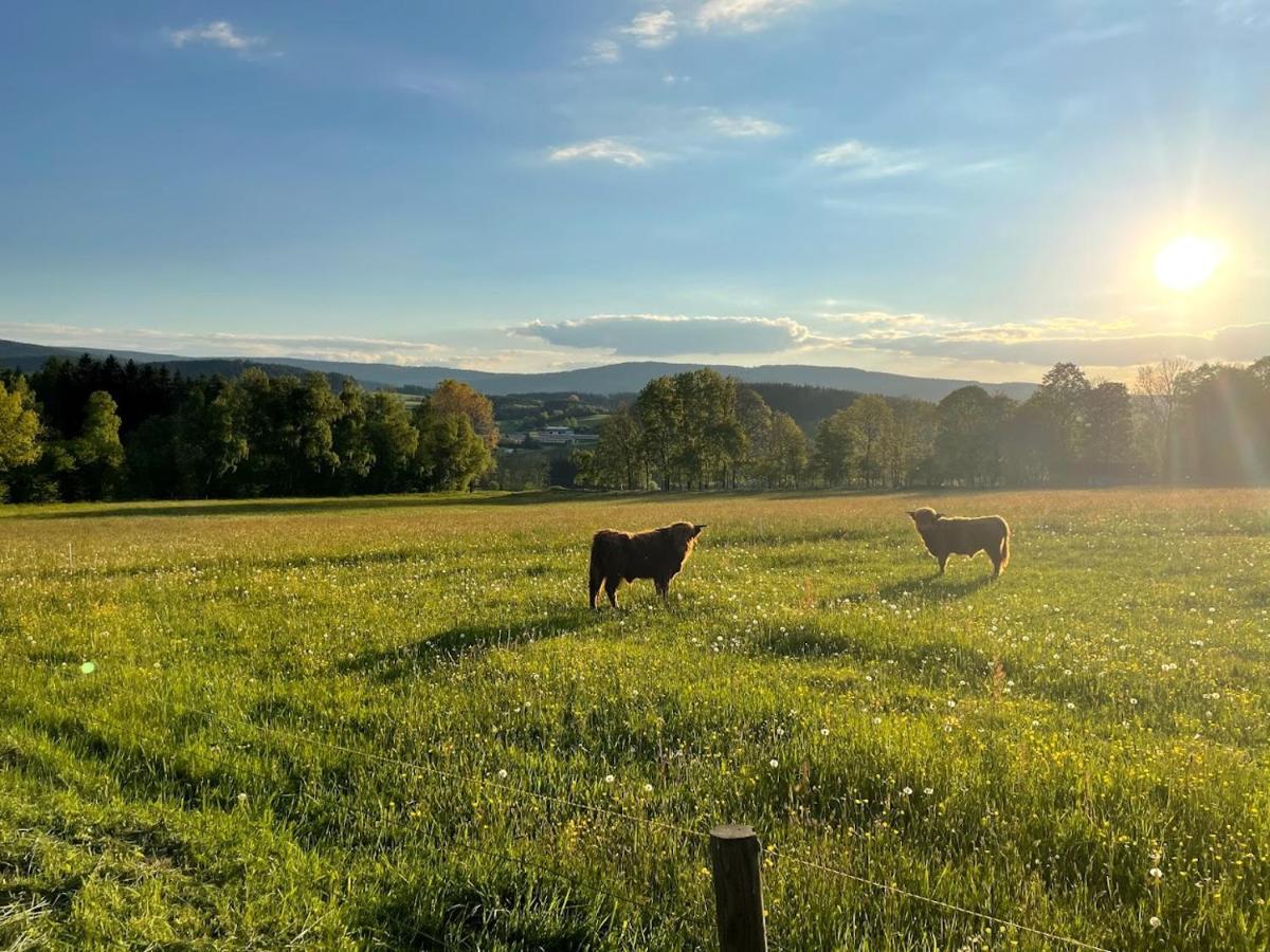 Apartmany Sumavanek Zdíkov Exteriér fotografie